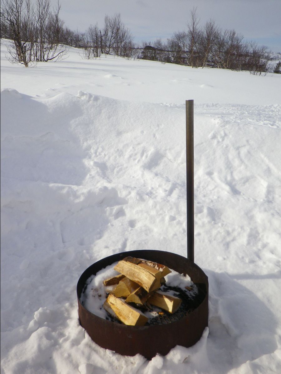 Dogs sledge57